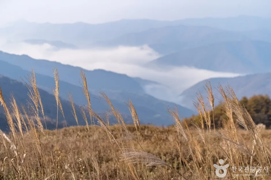 청옥산전망대 (3)
