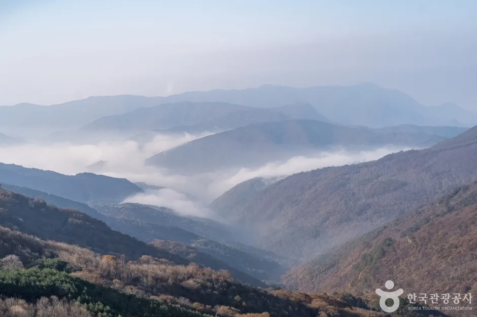 청옥산전망대 (15)