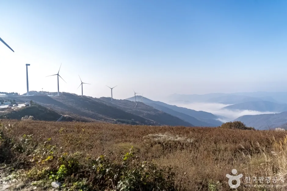 청옥산전망대 (10)