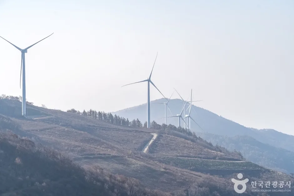청옥산전망대 (17)