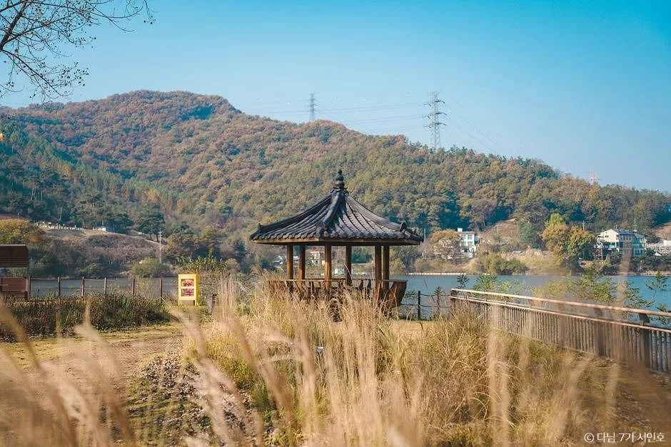 안성 가을 여행 서울 근교 당일치기 단풍 명소_금광호수 하늘전망대_3-11