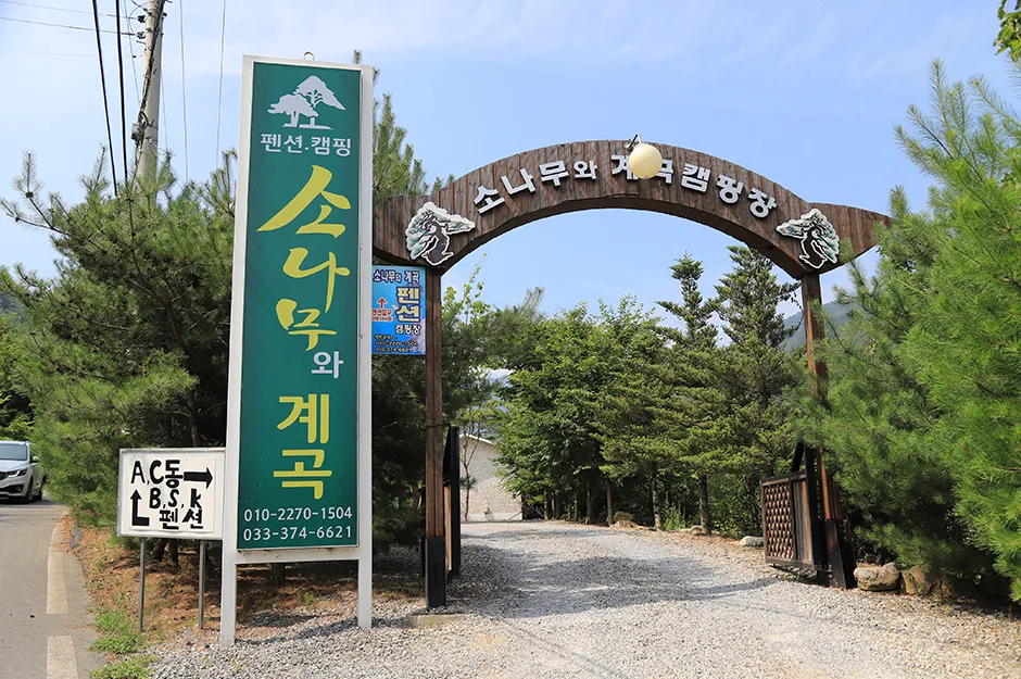 강원도_영월군_소나무와 계곡 캠핑장_입구