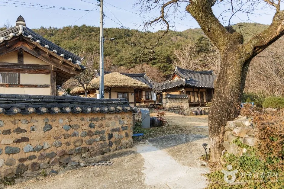 포항_포항 덕동문화마을 (3)