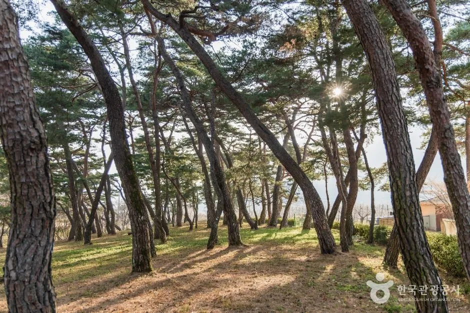 포항_포항 덕동문화마을 (7)