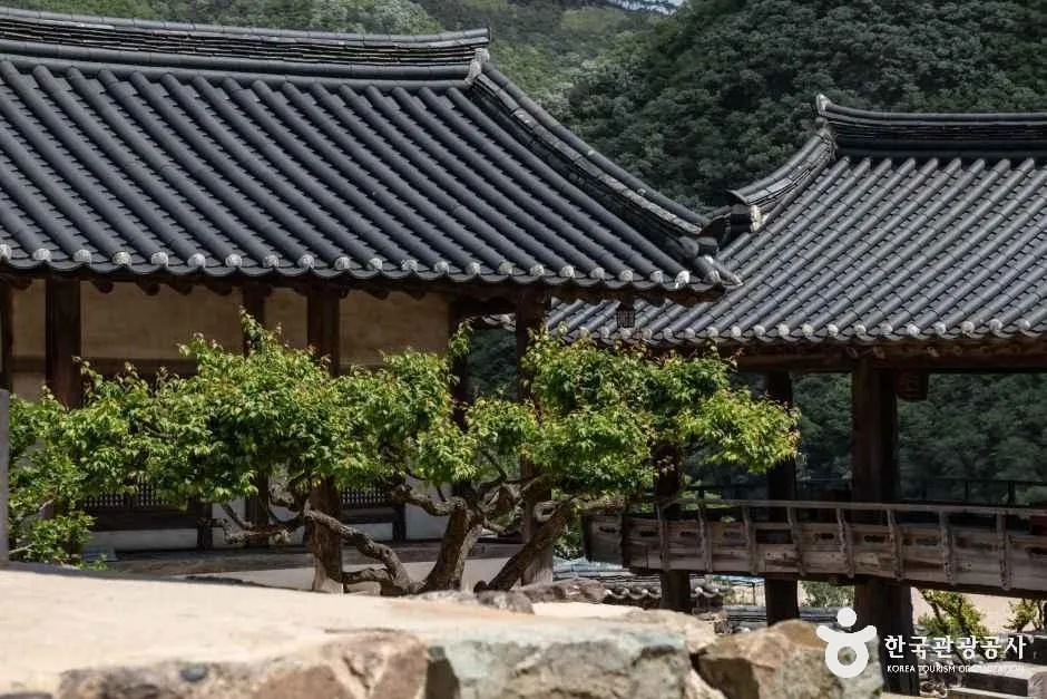 안동_병산서원 [유네스코 세계유산] (9)