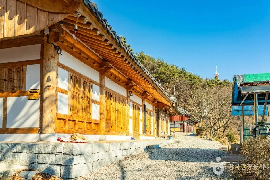 함양_금대암 (2)