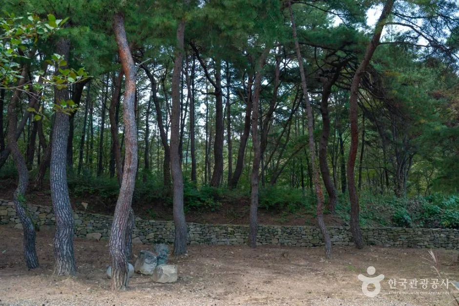 의성_대곡사(의성) (6)