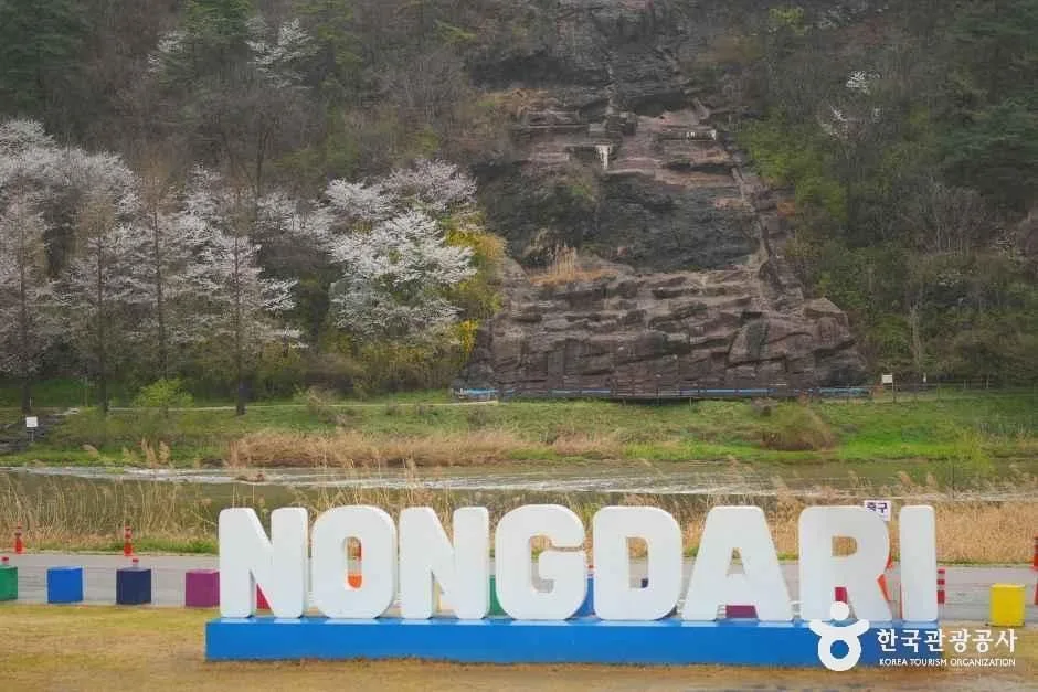 충북_진천_진천 농다리_외부_3.JPG