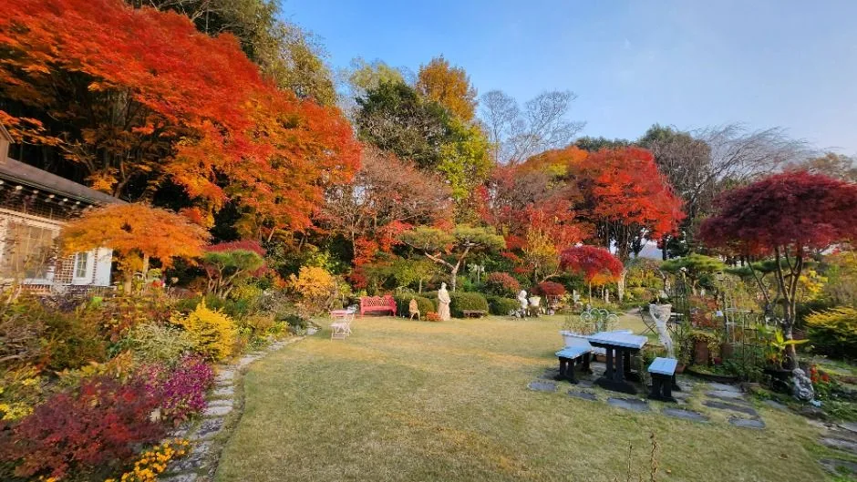 순천_화가의 정원산책 (6)