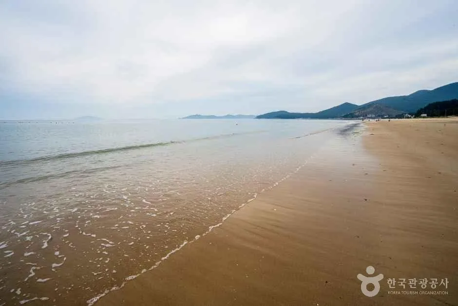 전남 완도 목포 무안 영광 고흥 여수 순천 가볼만한곳, 미식 여행 코스 추천_신지 명사십리해수욕장_2-3