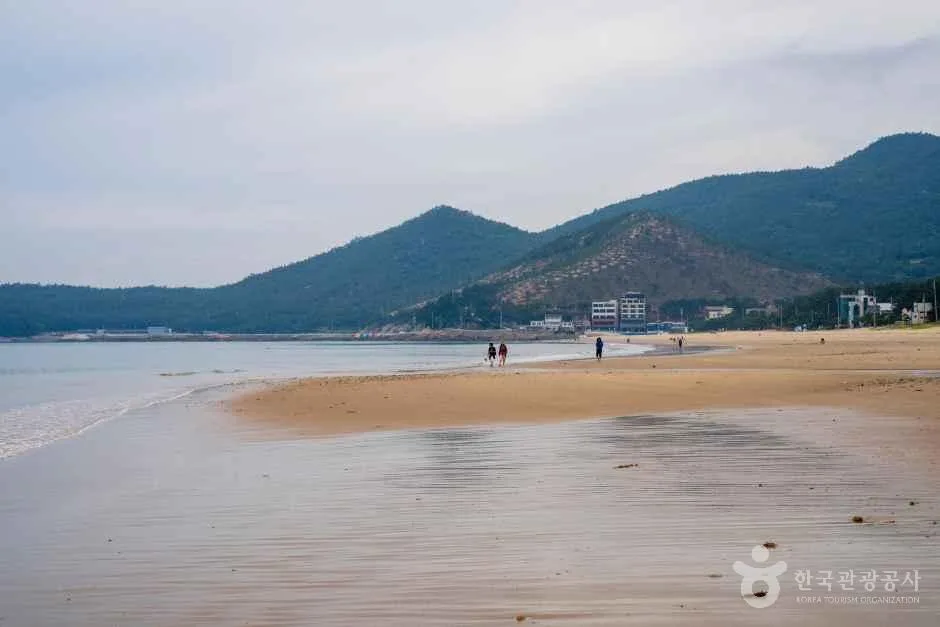 전남 완도 목포 무안 영광 고흥 여수 순천 가볼만한곳, 미식 여행 코스 추천_신지 명사십리해수욕장_2-2