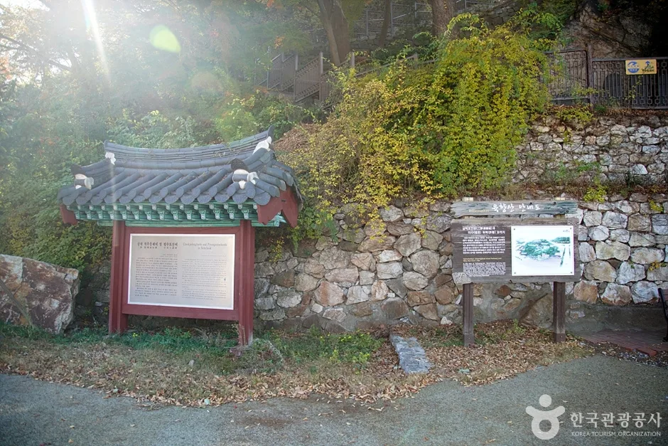 육향산 (5)