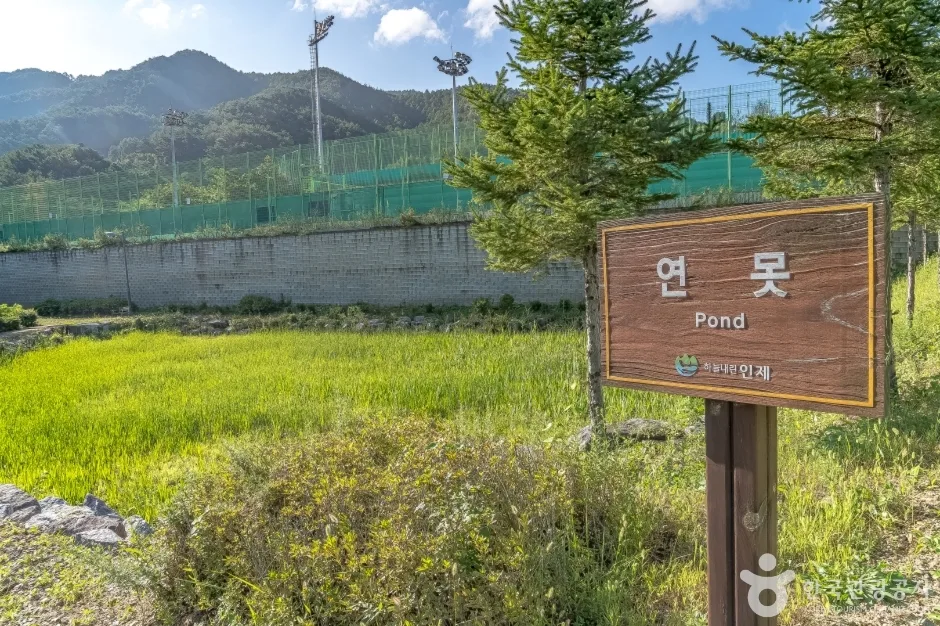 남면생활체육공원6_테니스장