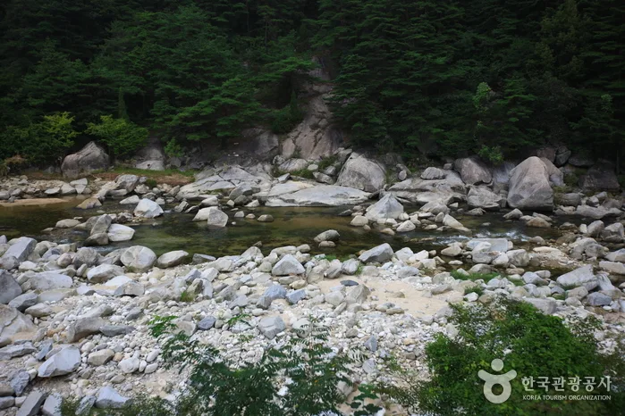 화림동계곡_02