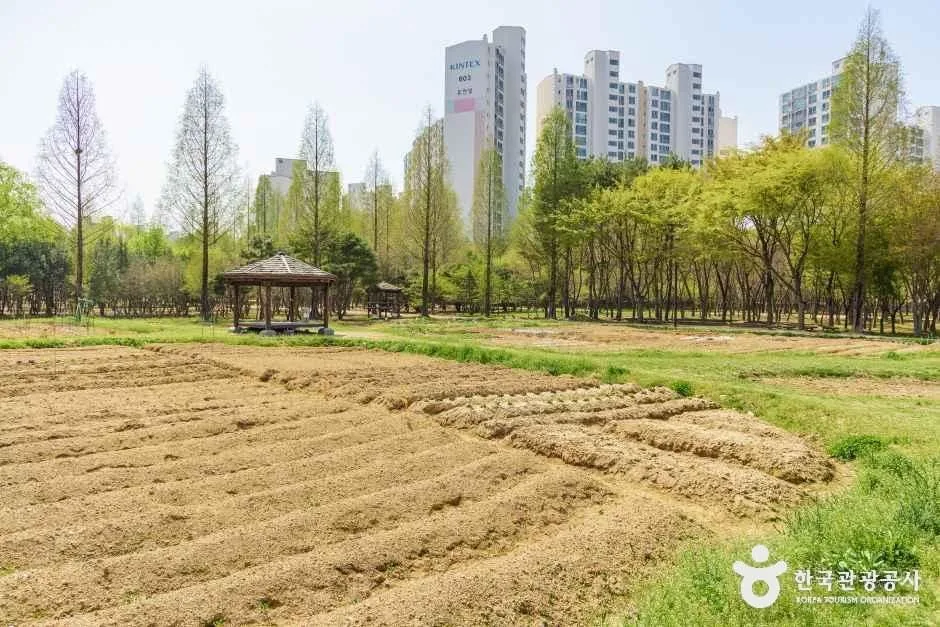 고양_대화농업체험공원 (3).jpg