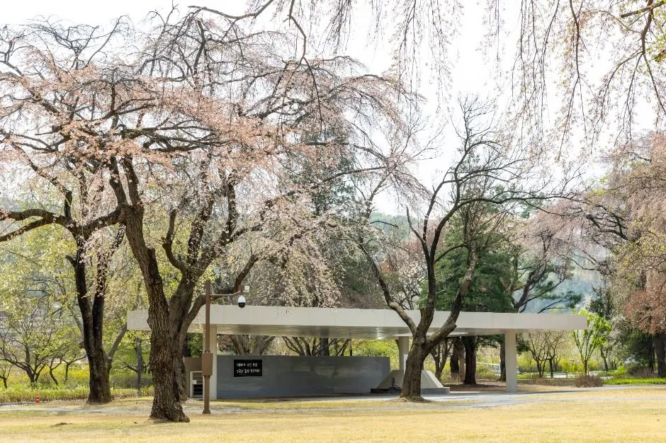 서울_국립서울현충원 (5)