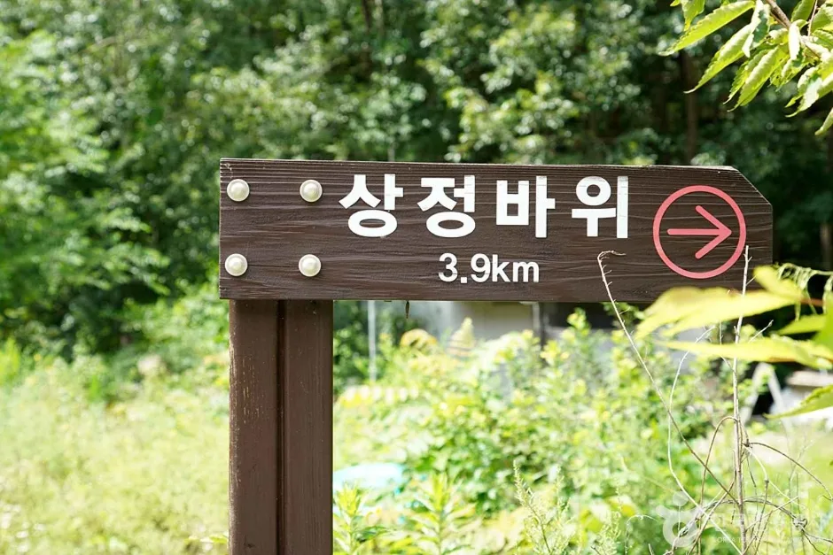 상정바위산 (11)