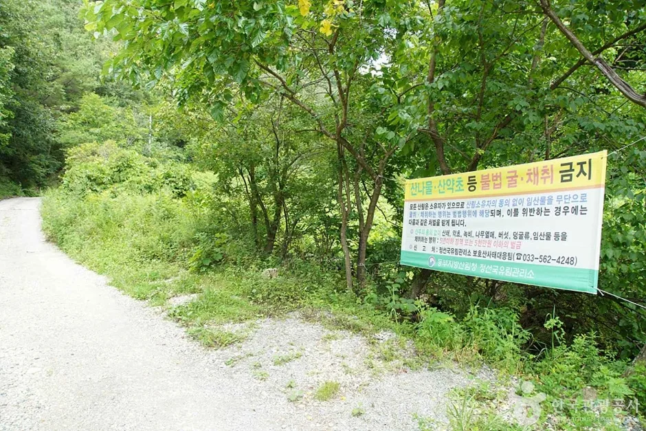상정바위산 (06)