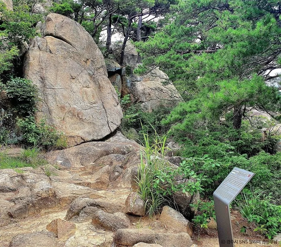 경주_경주 남산 용장사지 마애여래좌상 (4)