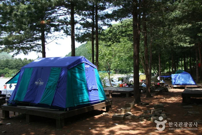 유명산자연휴양림