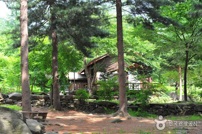 유명산자연휴양림_계곡_숲속의집6인실_04