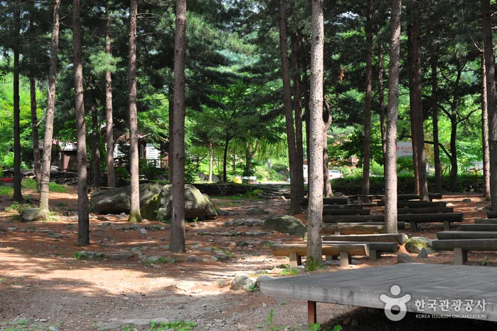 유명산자연휴양림_야영장