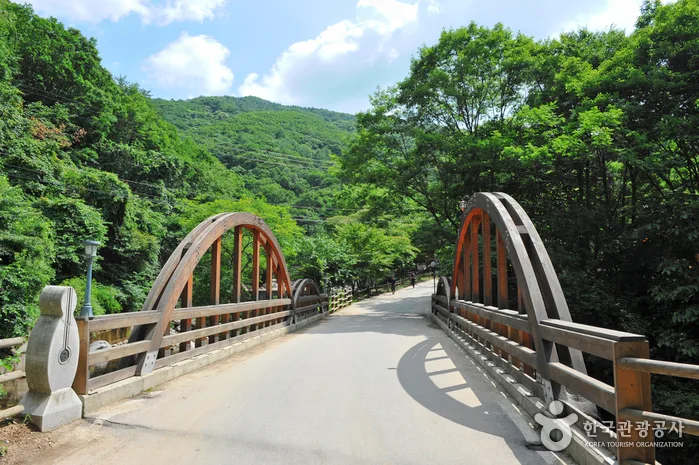 유명산자연휴양림_계곡_숲속의집6인실_02