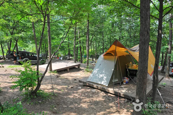 유명산자연휴양림
