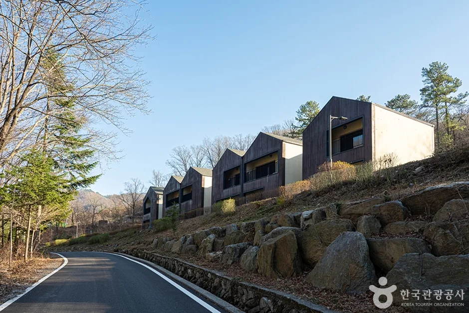 유명산자연휴양림