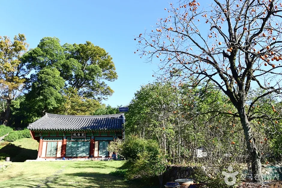 귀신사 (15)