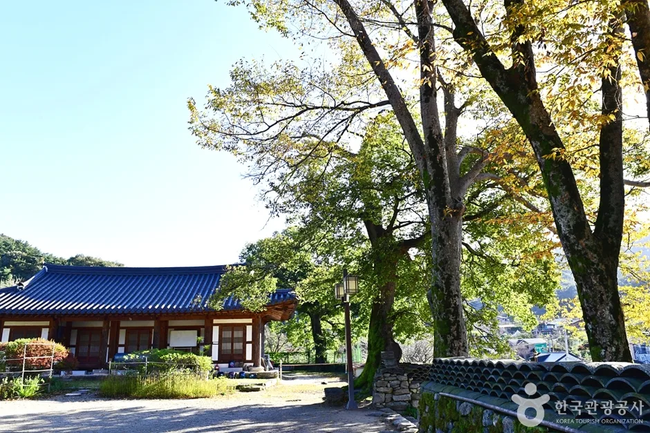 귀신사 (23)