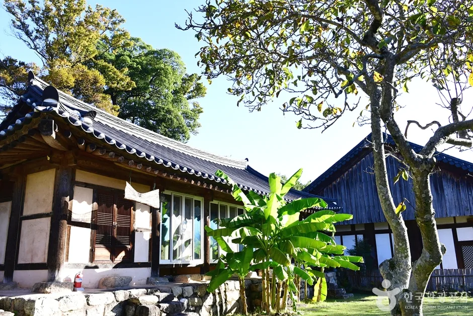 귀신사 (21)