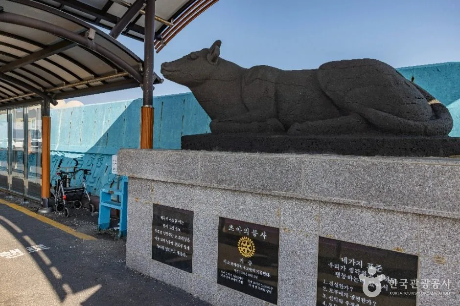 제주_하우목동항 (3)