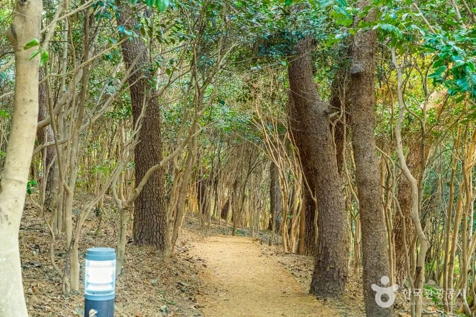 부산_동백공원 (8)