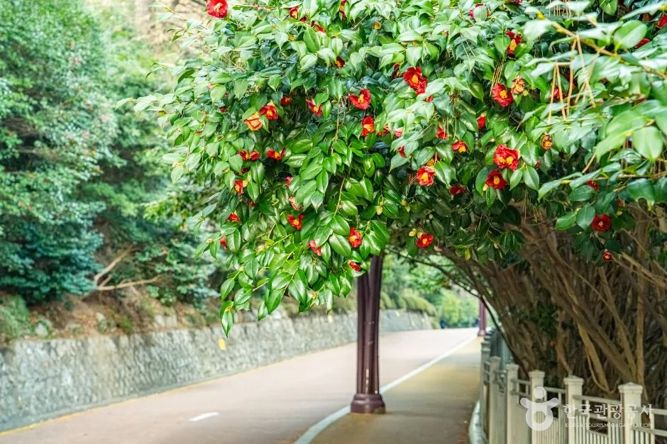 부산_동백공원 (3)