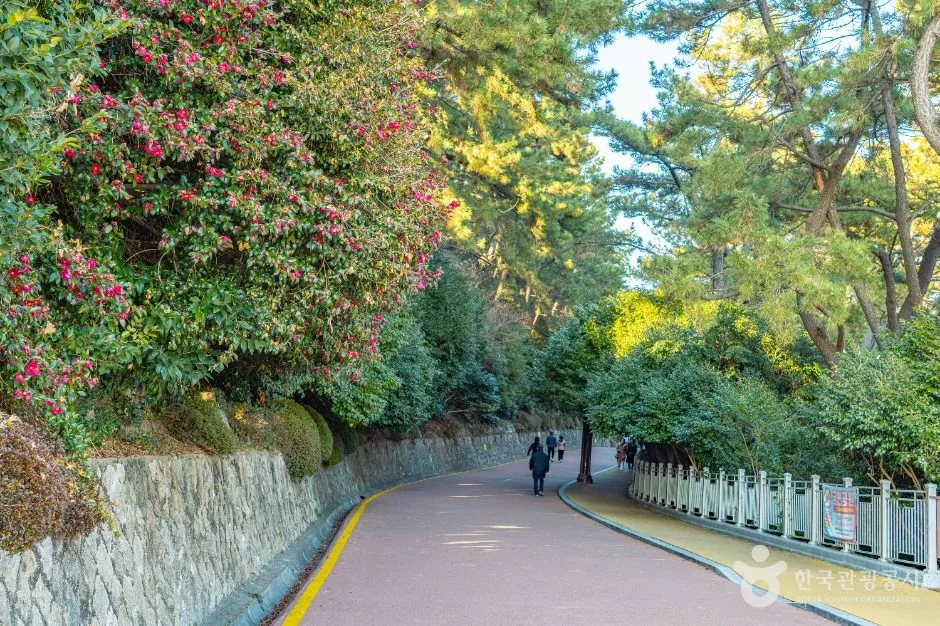 부산_동백공원 (7)
