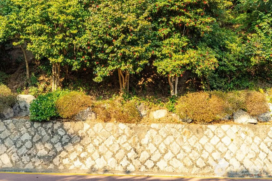 부산_동백공원 (2)