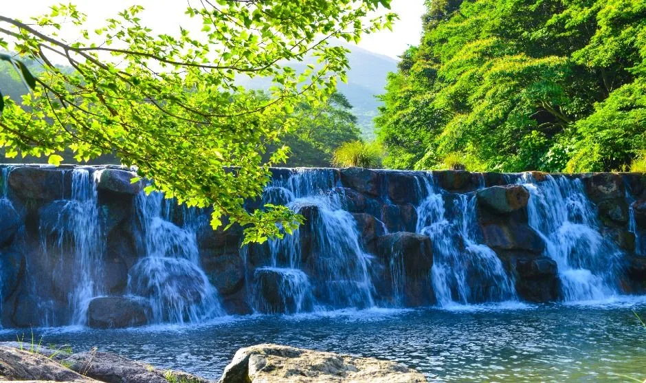 완도수목원_전경