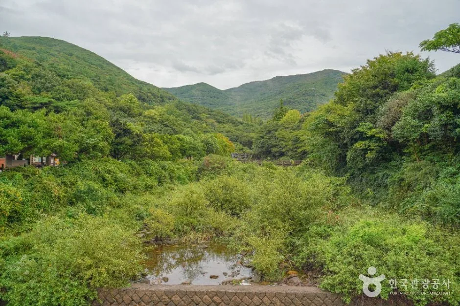 완도수목원_산림전시관(1)