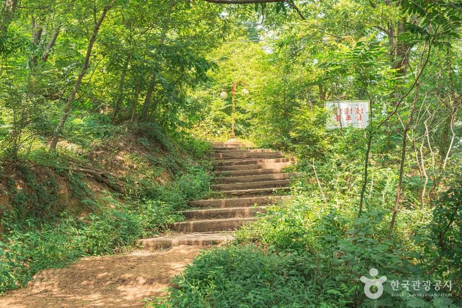 울주_문수산전망대 (3)