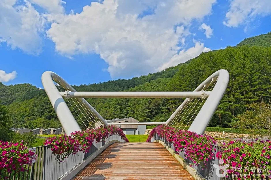 인제_갯골자연휴양림 (5)