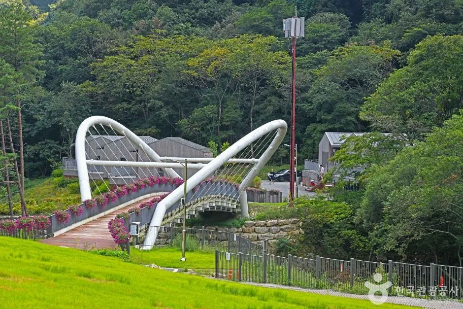 인제_갯골자연휴양림 (4)