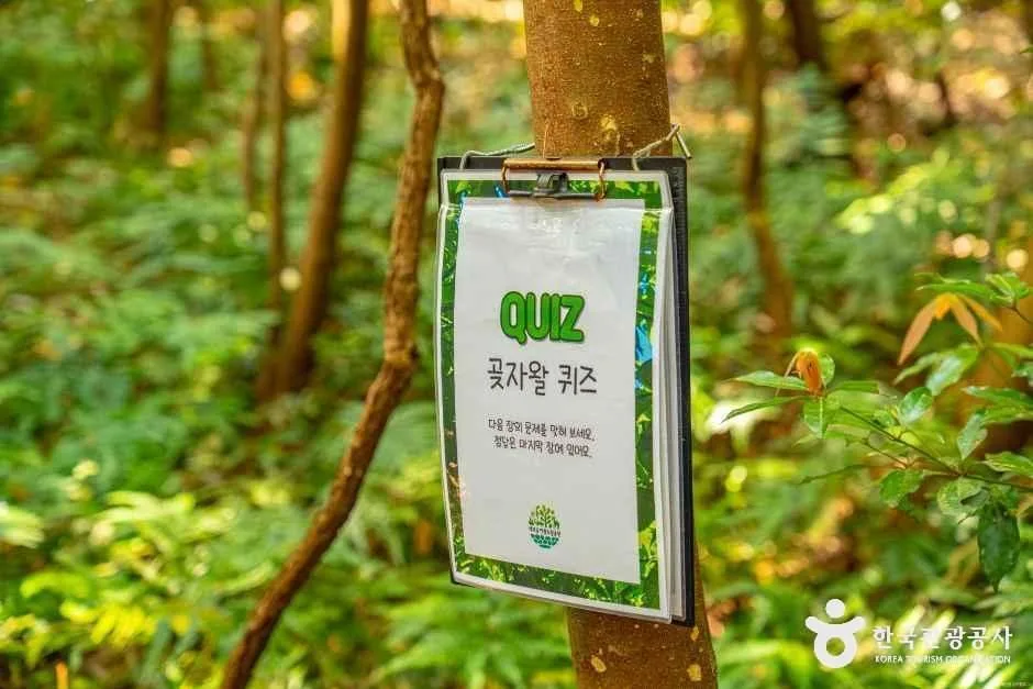 서귀포_제주곶자왈도립공원 (1).jpg