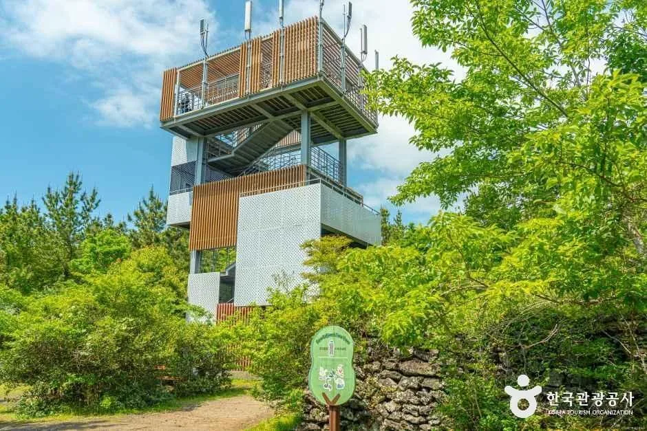 서귀포_제주곶자왈도립공원 (3).jpg