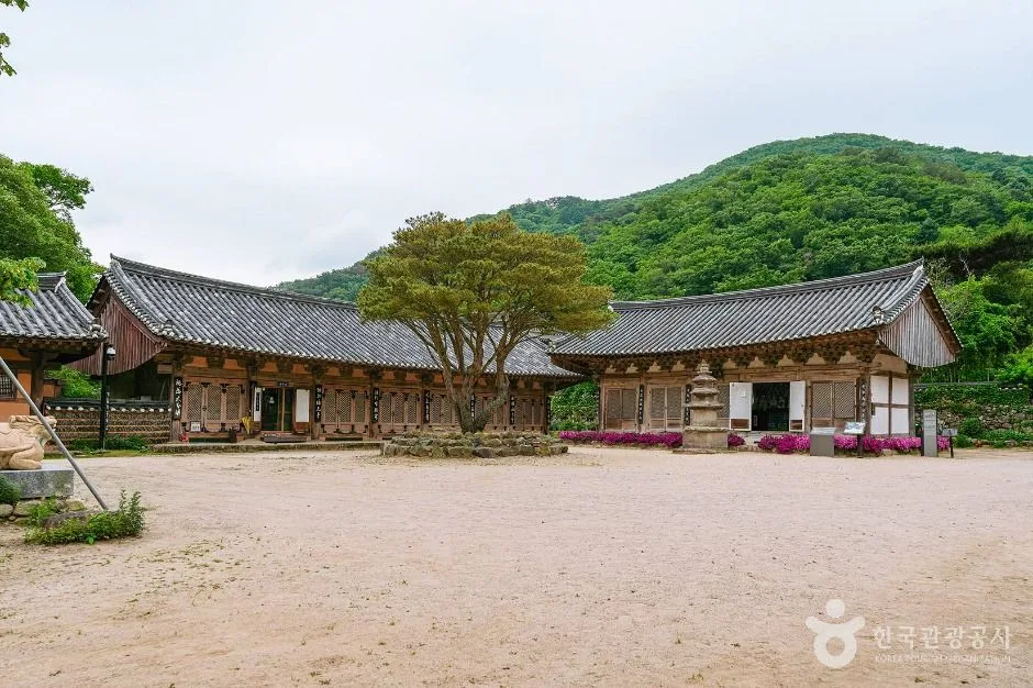경주_기림사 (4)