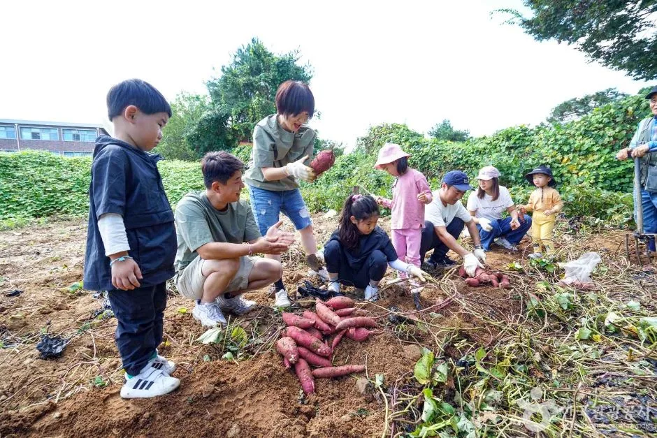 경기_연천_푸르내마을 (5)