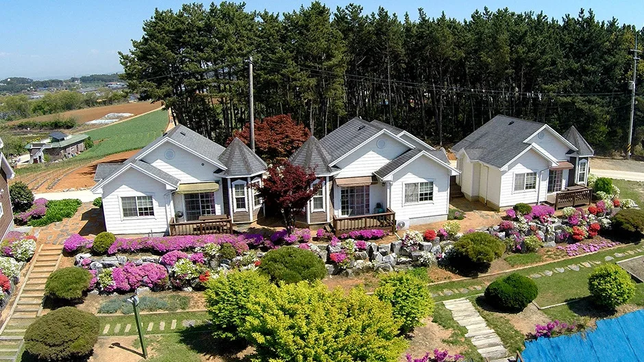 충남_태안_레인보우캐슬리조트_풍경2