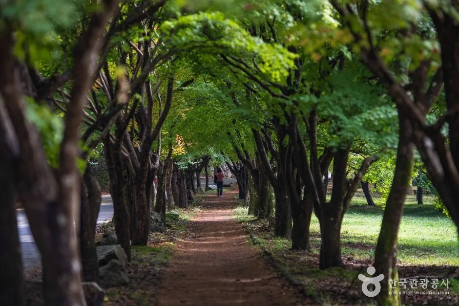 내장산국립공원