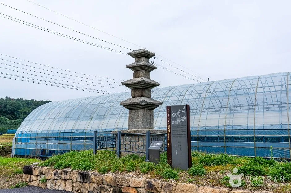 장성_진원리 오층석탑 (3)