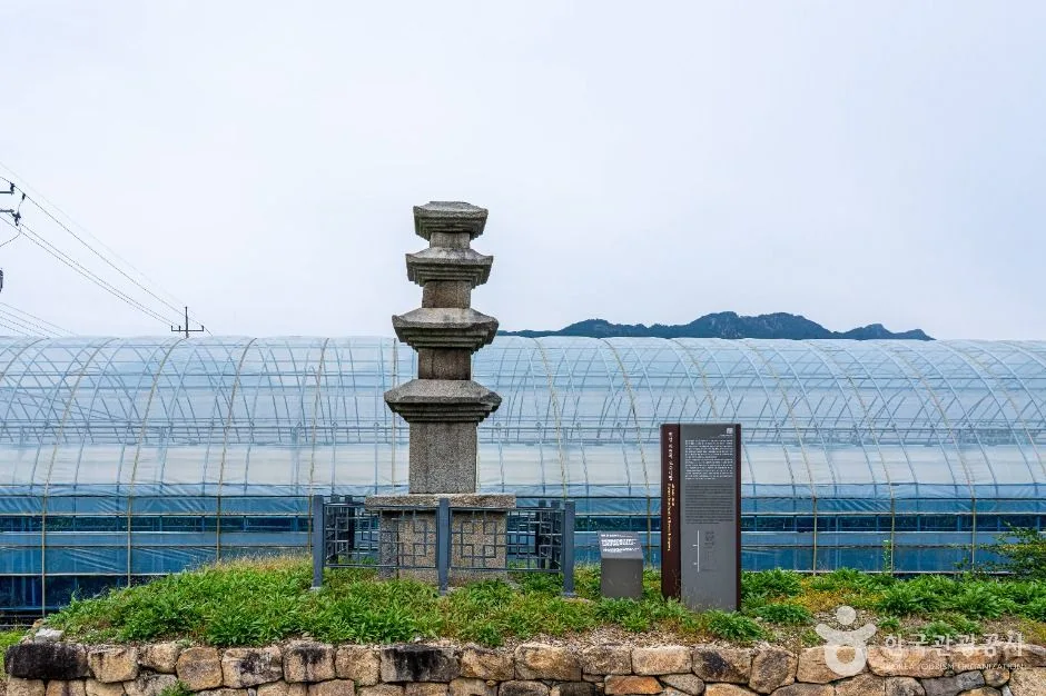 장성_진원리 오층석탑 (2)